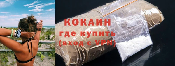 трава Бородино