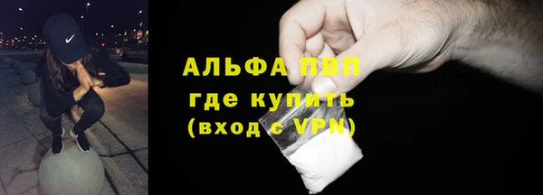 трава Бородино