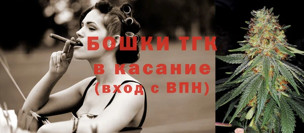 PSILOCYBIN Бугульма