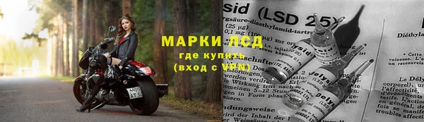 PSILOCYBIN Бугульма