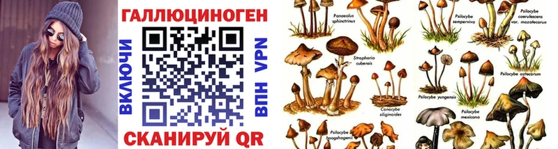 наркошоп Козьмодемьянск Галлюциногенные грибы MAGIC MUSHROOMS
